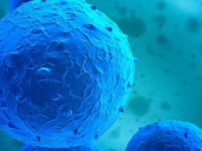 達博細胞治療新藥——自體自然殺傷細胞注射液（E10H） 獲得國家藥監(jiān)局頒發(fā)的臨床試驗批件