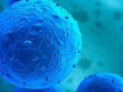 再傳喜訊！達(dá)博生物“人臍帶間充質(zhì)干細(xì)胞注射液”獲臨床試驗(yàn)?zāi)驹S可