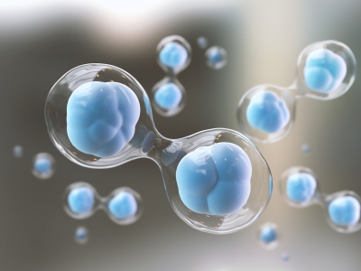 外泌體與干細胞：看似同源，實則大不同的 “修復能手”