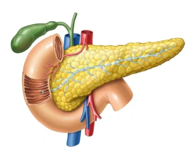 干細胞為什么可以治療2型糖尿病？